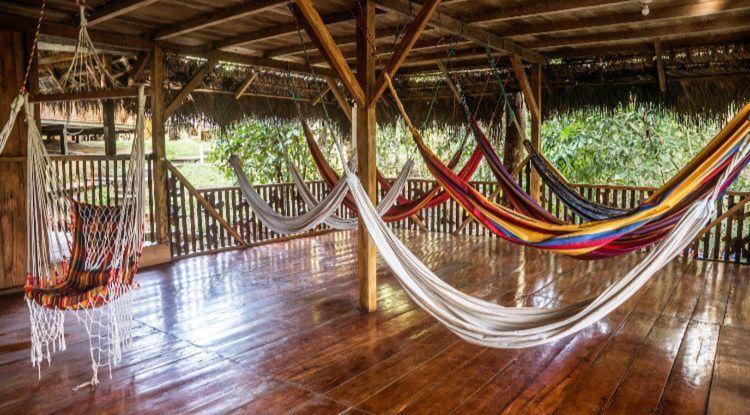 Caiman Lodge - Cuyabeno Nature Amazon Tour Extérieur photo