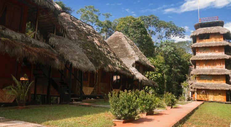 Caiman Lodge - Cuyabeno Nature Amazon Tour Extérieur photo