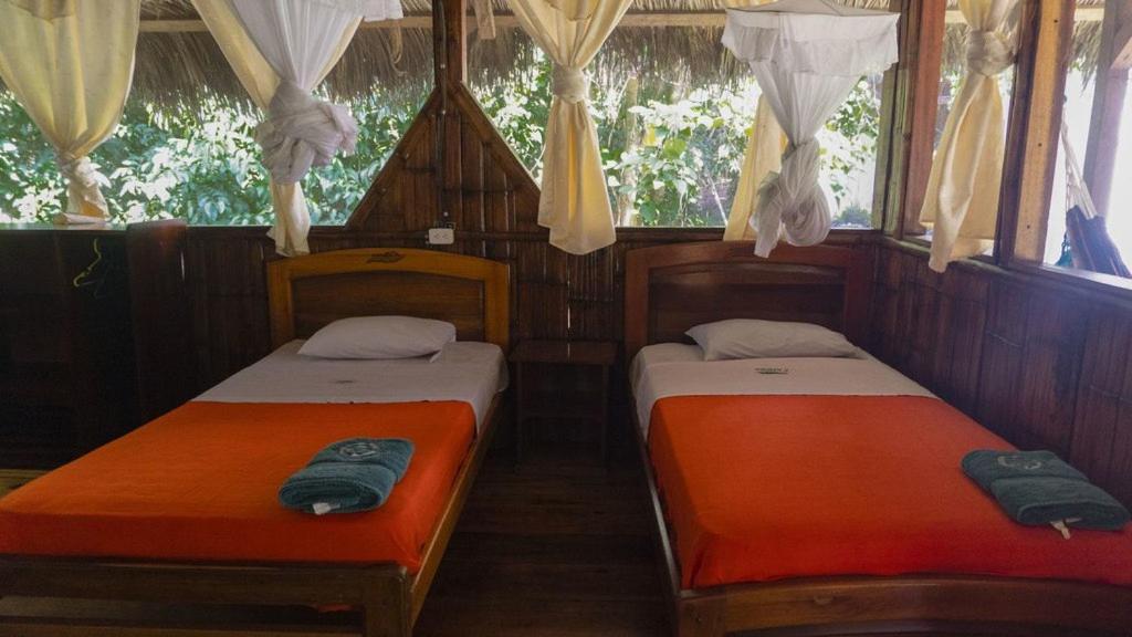 Caiman Lodge - Cuyabeno Nature Amazon Tour Extérieur photo