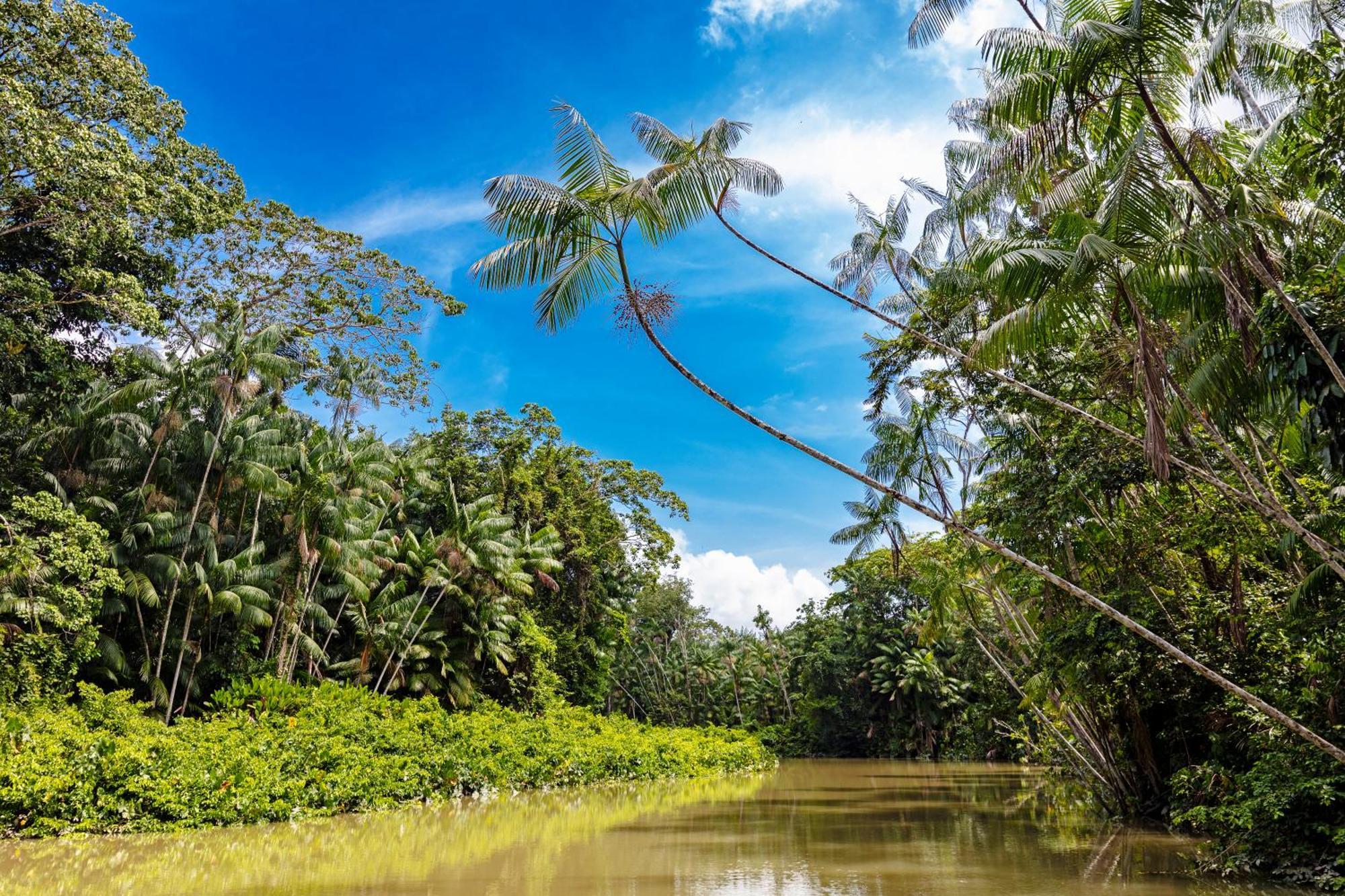 Caiman Lodge - Cuyabeno Nature Amazon Tour Extérieur photo